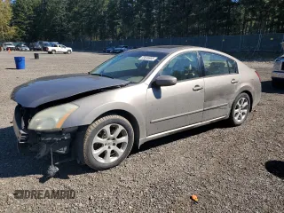 2007 Nissan Maxima 3.5 SL with VIN 1N4BA41E17C840195, listed as a Copart auction lot 53536955 with 131,217 mi miles and Salvage Title. Bid and sale history available at carsss.com. Image 1.