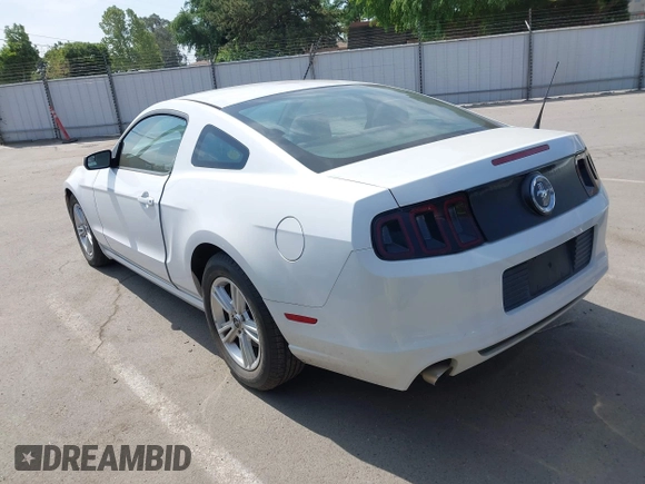2014 Ford Mustang V6 with VIN 1ZVBP8AMXE5245688, listed as a IAAI auction lot 42074539 with 146,028 mi miles. Bid and sale history available at carsss.com. Image 3.