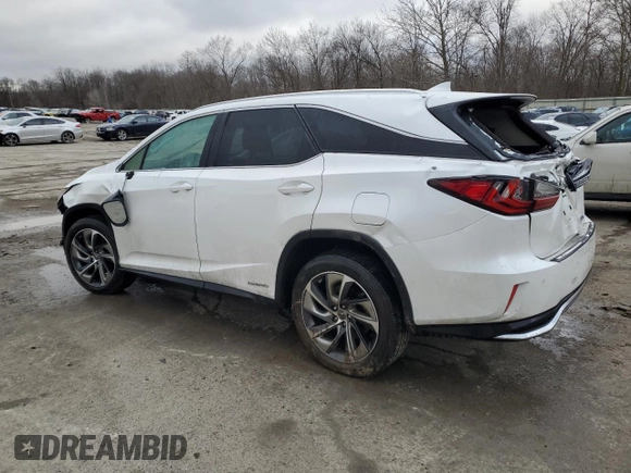 2019 Lexus RX with VIN JTJDGKCA5K2007608, listed as a Copart auction lot 43916085 with 0 mi miles and Salvage Title. Bid and sale history available at carsss.com. Image 2.