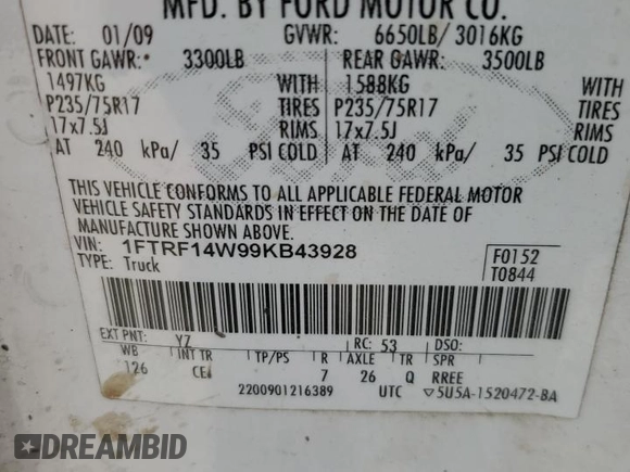 2009 Ford F-150 XL with VIN 1FTRF14W99KB43928, listed as a Copart auction lot 49001195 with 162,097 mi miles and Salvage title. Bid and sale history available at DreamBid. Image 14.
