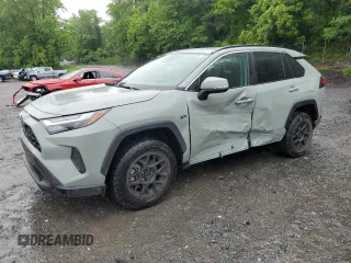 2023 Toyota RAV4 XLE with VIN 2T3W1RFV7PW300252, listed as a Copart auction lot 60848675 with 7,790 mi miles and Salvage title. Bid and sale history available at DreamBid. Image 1.