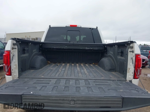 2016 Ford F-150 XLT z VIN 1FTEW1EF2GFB25838, wystawiony jako IAAI lot #42075007 z przebiegiem 135 377 mil mil oraz . Historia ofert i sprzedaży dostępna na DreamBid. Obrazek 17.