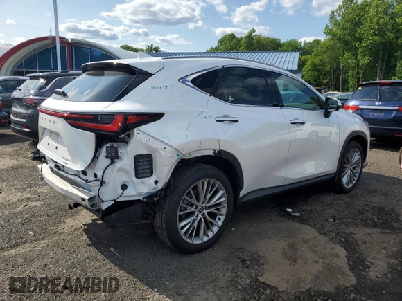 2024 Lexus NX 350 Luxury with VIN 2T2HGCEZ1RC048676, listed as a Copart auction lot 58994635 with 13,229 mi miles and Salvage title. Bid and sale history available at DreamBid. Image 3.