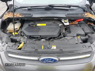 2015 Ford Escape SE with VIN 1FMCU9GX6FUC73272, listed as a IAAI auction lot 41966307 with 118,144 mi miles and . Bid and sale history available at DreamBid. Image 10.