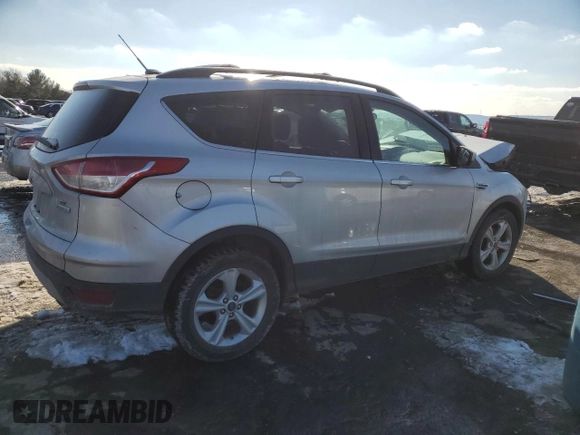 2014 Ford Escape SE with VIN 1FMCU0GX7EUA96807, listed as a Copart auction lot 42495375 with Not Provided miles and Salvage Title. Bid and sale history available at carsss.com. Image 3.