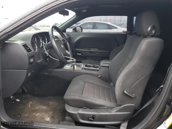 2010 Dodge Challenger R/T with VIN 2B3CJ5DT2AH122661, listed as a Copart auction lot 46820555 with 119,935 mi miles and Salvage Title. Bid and sale history available at carsss.com. Image 7.