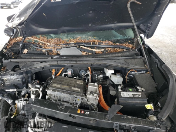2020 Kia Niro EX with VIN KNDCC3LG8L5047427, listed as a Copart auction lot 53888795 with 11,678 mi miles and Clean Title. Bid and sale history available at DreamBid. Image 11.