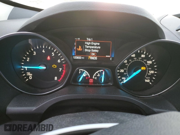 2018 Ford Escape SE z VIN 1FMCU9GD7JUA34635, wystawiony jako Copart lot #48379395 z przebiegiem 123 832 mil mil oraz Szkoda całkowita • Salvage title. Historia ofert i sprzedaży dostępna na DreamBid. Obrazek 9.