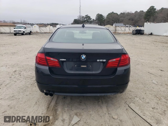 2013 BMW 5 Series 528i xDrive with VIN WBAXH5C50DD113325, listed as a Copart auction lot 49033955 with 119,446 mi miles and Salvage Title. Bid and sale history available at carsss.com. Image 6.