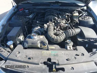 2006 Ford Mustang Standard with VIN 1ZVFT80N465121747, listed as a IAAI auction lot 42124022 with 129,026 mi miles. Bid and sale history available at carsss.com. Image 10.