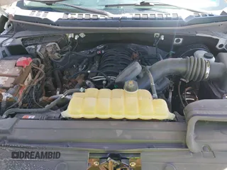 2019 Ford F-150 XL with VIN 1FTEW1C53KKC67450, listed as a IAAI auction lot 41846803 with 50,156 mi miles and . Bid and sale history available at DreamBid. Image 10.