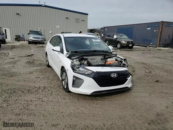 2019 Hyundai Ioniq Hybrid Blue with VIN KMHC65LC3KU170942, listed as a Copart auction lot 49682715 with 119,342 mi miles and Salvage Title. Bid and sale history available at carsss.com. Image 13.