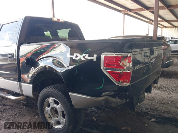 2010 Ford F-150 XL with VIN 1FTEW1E82AFD87433, listed as a IAAI auction lot 42595343 with 159,229 mi miles and . Bid and sale history available at DreamBid. Image 6.