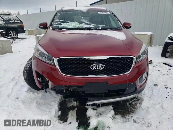 2018 Kia Sorento EX with VIN 5XYPHDA5XJG412494, listed as a Copart auction lot 45796095 with 86,049 mi miles and Salvage Title. Bid and sale history available at carsss.com. Image 14.