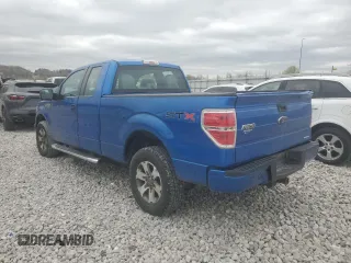 2013 Ford F-150 XL with VIN 1FTFX1EF1DFB09577, listed as a Copart auction lot 51063005 with 197,289 mi miles and Salvage title. Bid and sale history available at DreamBid. Image 2.