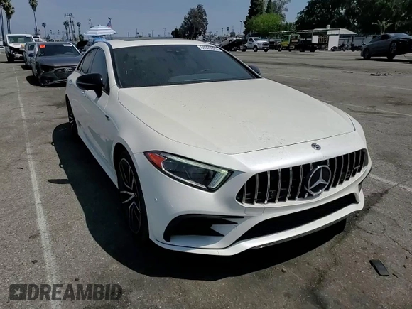 2019 Mercedes-Benz CLS 53 S AMG с VIN WDD2J6BB8KA046394, выставлен на аукционе Copart как лот 54025625 с пробегом 74 445 миль миль и Списание • Salvage title. История ставок и продаж доступна на DreamBid. Изображение 13.