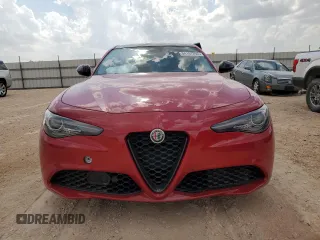 2020 Alfa Romeo Giulia with VIN ZARFAMAN7L7638353, listed as a Copart auction lot 54167255 with Not provided miles and Salvage title. Bid and sale history available at DreamBid. Image 5.