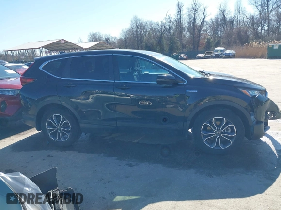 2022 Honda CR-V EX-L with VIN 5J6RT6H89NL009646, listed as a IAAI auction lot 41758189 with 26,256 mi miles and . Bid and sale history available at DreamBid. Image 14.