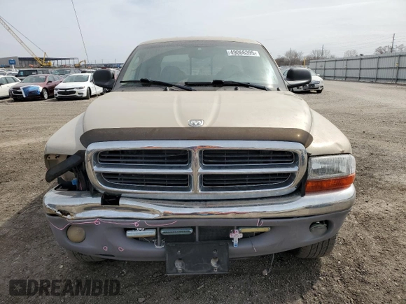 2004 Dodge Dakota SLT with VIN 1D7HG48N74S777684, listed as a Copart auction lot 49066395 with 213,419 mi miles and Salvage Title. Bid and sale history available at DreamBid. Image 5.
