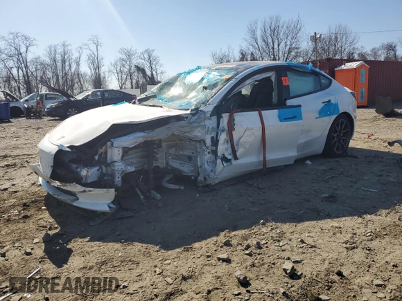 2023 Tesla Model 3 with VIN 5YJ3E1EA4PF566177, listed as a Copart auction lot 48504015 with Not Provided miles and Clean Title. Bid and sale history available at DreamBid. Image 1.