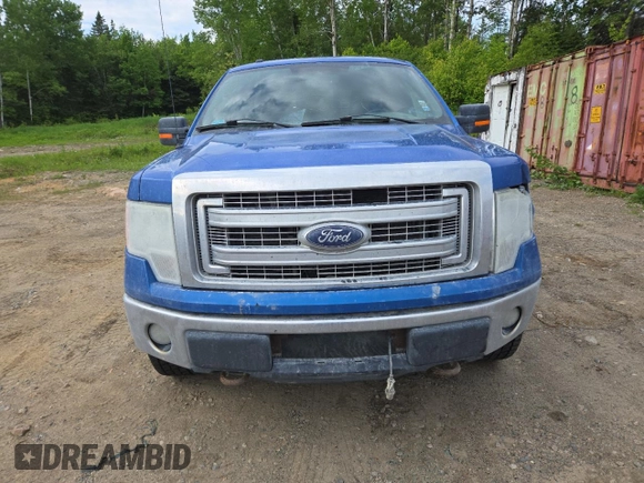 2014 Ford F-150 XL с VIN 1FTFX1EF5EFA51457, выставлен на аукционе Copart как лот 60784555 с пробегом 123 301 миль миль и Списание • Salvage title. История ставок и продаж доступна на DreamBid. Изображение 5.