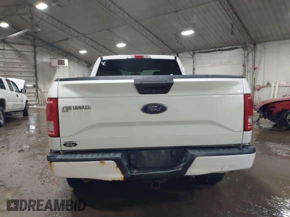 2017 Ford F-150 XL with VIN 1FTEX1EP4HFC84612, listed as a IAAI auction lot 41553736 with 145,235 mi miles. Bid and sale history available at carsss.com. Image 16.