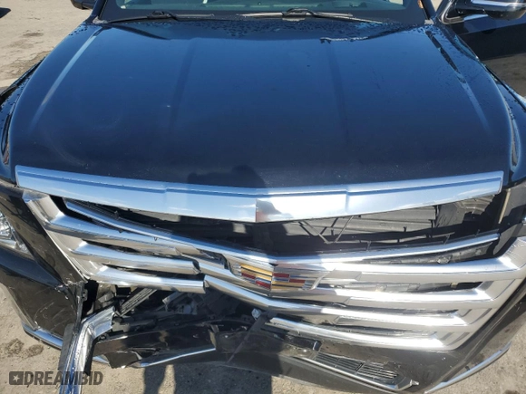 2019 Cadillac Escalade Platinum with VIN 1GYS4DKJ2KR169309, listed as a Copart auction lot 49175955 with 82,538 mi miles and Salvage Title. Bid and sale history available at carsss.com. Image 14.