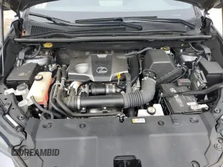 2020 Lexus NX 300 with VIN JTJGARDZ0L2230278, listed as a Copart auction lot 49786155 with 38,606 mi miles and Non Repairable. Bid and sale history available at DreamBid. Image 12.