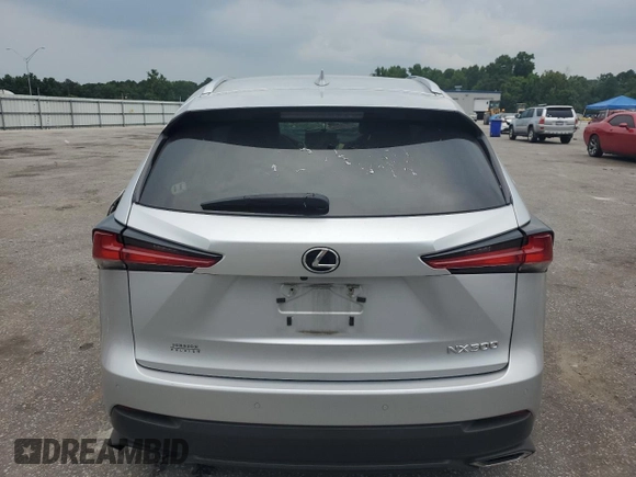 2018 Lexus NX 300 with VIN JTJYARBZ9J2100021, listed as a Copart auction lot 62465225 with Not provided miles and Salvage title. Bid and sale history available at DreamBid. Image 6.