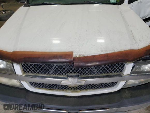 2003 Chevrolet Silverado 1500 LS with VIN 1GCEK14V33Z173927, listed as a Copart auction lot 56017245 with Not Provided miles and Clean Title. Bid and sale history available at DreamBid. Image 11.