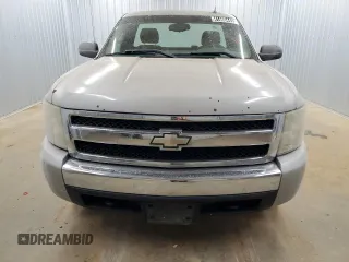 2008 Chevrolet Silverado 1500 Work Truck with VIN 1GCEK14CX8Z120423, listed as a Copart auction lot 41460445 with 171,040 mi miles and Clean Title. Bid and sale history available at carsss.com. Image 5.