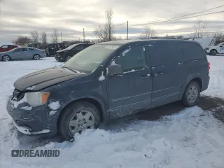 2013 Ram Cargo Van Tradesman with VIN 2C4JRGAG8DR596209, listed as a Copart auction lot 41673425 with 122,668 mi miles and Salvage Title. Bid and sale history available at carsss.com. Image 1.