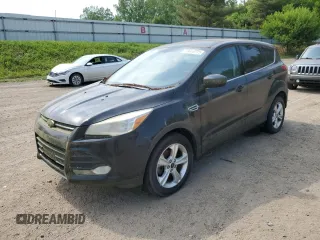 2014 Ford Escape SE с VIN 1FMCU0GX5EUA44656, выставлен на аукционе Copart как лот 59910775 с пробегом 214 959 миль миль и Чистый • Clean title. История ставок и продаж доступна на DreamBid. Изображение 1.