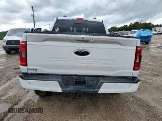 2021 Ford F-150 XL with VIN 1FTFW1E59MFA70313, listed as a Copart auction lot 60793215 with 52,387 mi miles and Salvage title. Bid and sale history available at DreamBid. Image 6.