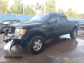 2013 Ford F-150 XL with VIN 1FTEX1EM4DFA25134, listed as a Copart auction lot 75901124 with 169,962 mi miles and Salvage Title. Bid and sale history available at carsss.com. Image 1.