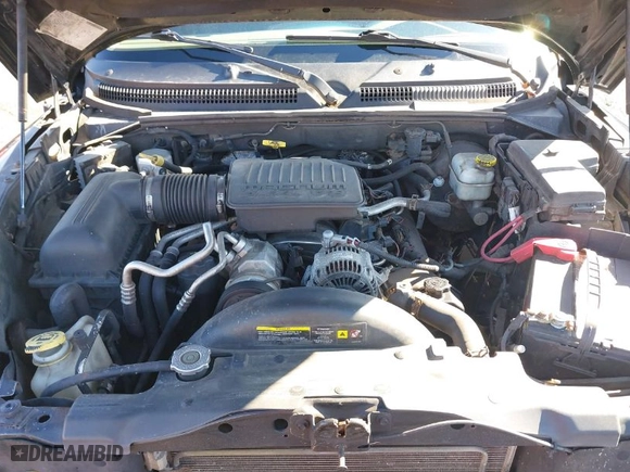2005 Dodge Dakota SLT with VIN 1D7HW48N25S178373, listed as a IAAI auction lot 41815561 with 148,112 mi miles. Bid and sale history available at carsss.com. Image 10.