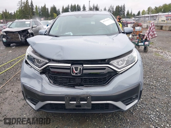 2021 Honda CR-V EX-L with VIN 2HKRW2H81MH646331, listed as a IAAI auction lot 42139416 with 24,599 mi miles and . Bid and sale history available at DreamBid. Image 12.