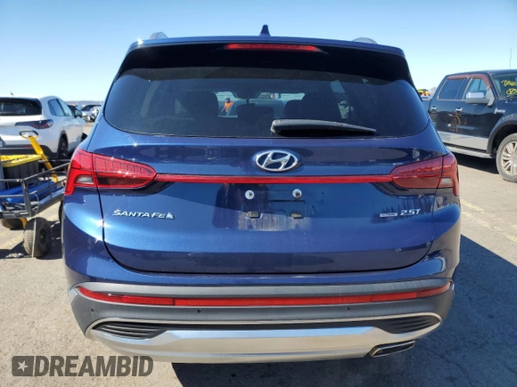 2021 Hyundai Santa Fe Limited with VIN 5NMS4DAL7MH349921, listed as a Copart auction lot 49592725 with 50,541 mi miles and Salvage Title. Bid and sale history available at carsss.com. Image 6.