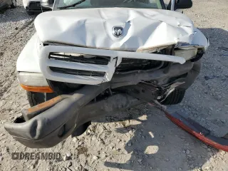 2003 Dodge Dakota with VIN 1D7FL16XX3S353971, listed as a Copart auction lot 77018554 with 0 mi miles and Salvage Title. Bid and sale history available at carsss.com. Image 12.