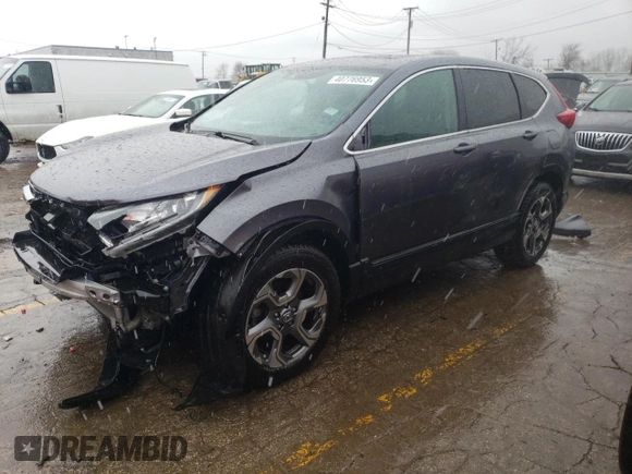 2019 Honda CR-V EX with VIN 5J6RW2H59KL026481, listed as a Copart auction lot 40776953 with 49,960 mi miles. Bid and sale history available at carsss.com. Image 1.