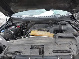 2015 Ford F-150 XLT с VIN 1FTEX1EPXFFC73448, выставлен на аукционе IAAI как лот 41455498 с пробегом 189 732 миль миль и . История ставок и продаж доступна на DreamBid. Изображение 10.