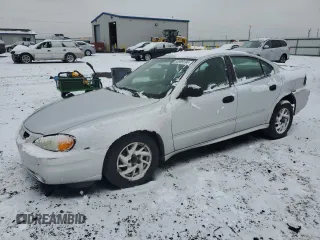 2004 Pontiac Grand Am SE1 with VIN 1G2NF52E24M543363, listed as a Copart auction lot 83989194 with 113,601 mi miles and Salvage Title. Bid and sale history available at carsss.com. Image 1.