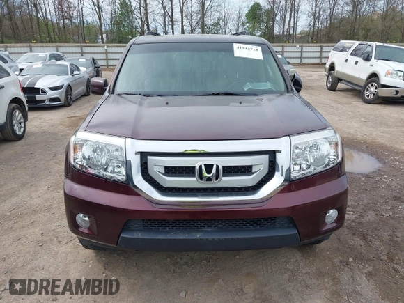2009 Honda Pilot EX-L with VIN 5FNYF486X9B026041, listed as a IAAI auction lot 41942718 with 219,301 mi miles and . Bid and sale history available at carsss.com. Image 6.