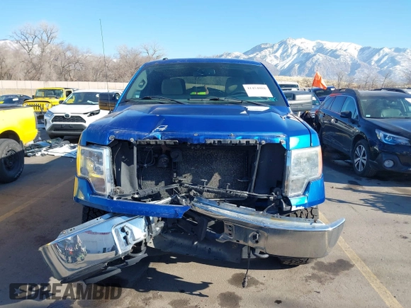 2010 Ford F-150 XL with VIN 1FTEW1E87AFB51697, listed as a IAAI auction lot 41454088 with 171,787 mi miles and . Bid and sale history available at DreamBid. Image 12.