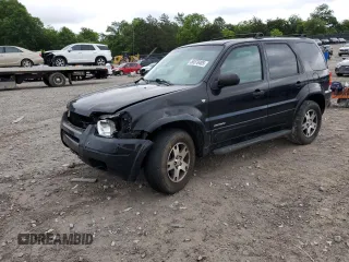 2002 Ford Escape XLT with VIN 1FMCU03182KD66099, listed as a Copart auction lot 58578485 with 230,858 mi miles and Salvage title. Bid and sale history available at DreamBid. Image 1.
