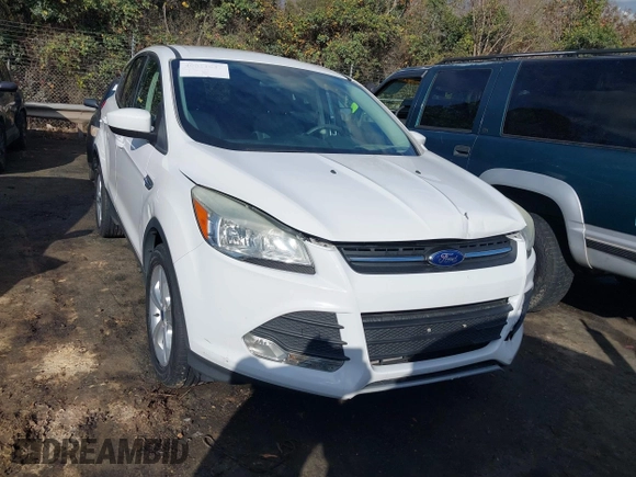 2014 Ford Escape SE with VIN 1FMCU0GX0EUE35004, listed as a IAAI auction lot 40811631 with 126,464 mi miles. Bid and sale history available at carsss.com. Image 12.