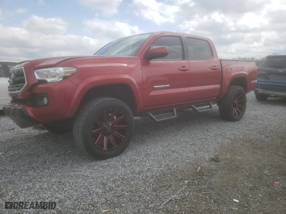 2019 Toyota Tacoma 4WD SR with VIN 3TMCZ5AN2KM217172, listed as a Copart auction lot 50065195 with 49,858 mi miles and Salvage Title. Bid and sale history available at carsss.com. Image 1.