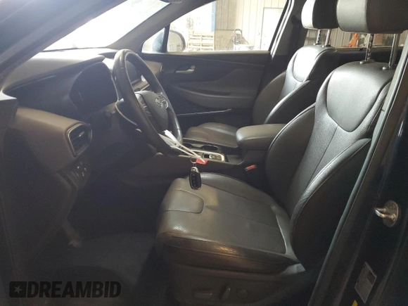 2020 Hyundai Santa Fe SEL with VIN 5NMS3CAA6LH181067, listed as a Copart auction lot 42020445 with 87,418 mi miles and Salvage Title. Bid and sale history available at carsss.com. Image 7.