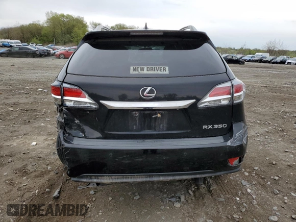 2014 Lexus RX 350 with VIN 2T2BK1BA1EC230752, listed as a Copart auction lot 53041835 with 224,396 mi miles and Salvage Title. Bid and sale history available at DreamBid. Image 6.