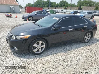 2011 Acura TSX with VIN JH4CU2F65BC011648, listed as a Copart auction lot 59481455 with 176,621 mi miles and Salvage title. Bid and sale history available at DreamBid. Image 1.